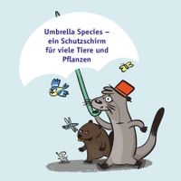 Otterpfad Illustration Umbrella Species